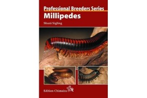 Professional Breeders Series - Millipedes
